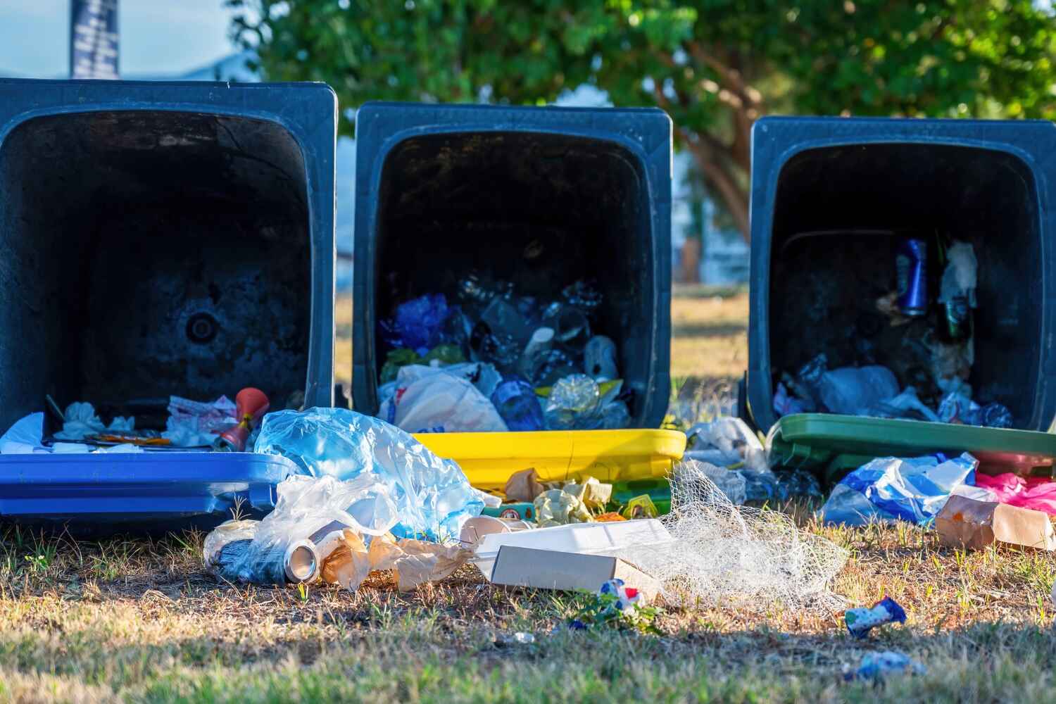 Trash Removal Near Me in White House, TN